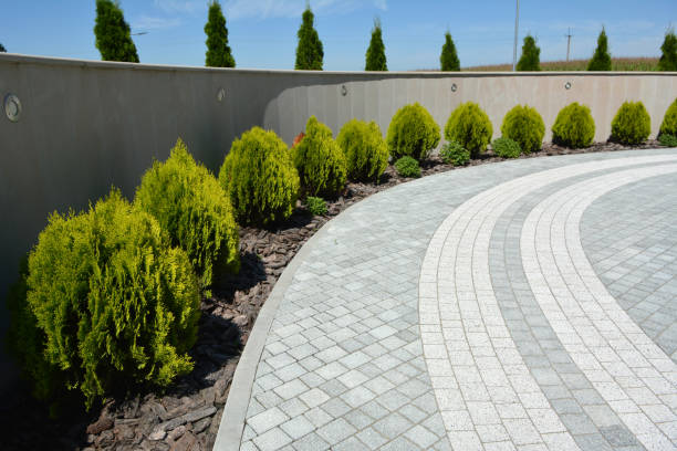 Best Local Driveway Pavers  in Decatur, IL